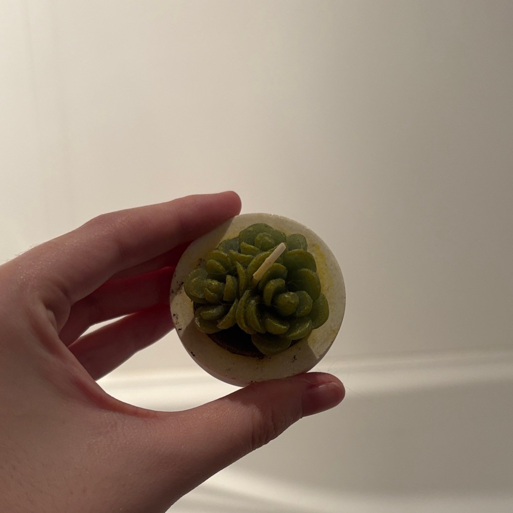 Green Succulent Candle